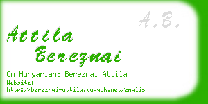 attila bereznai business card